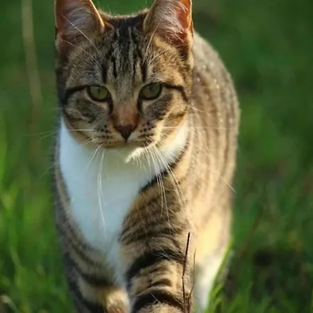 For 24 Guests * Teuven