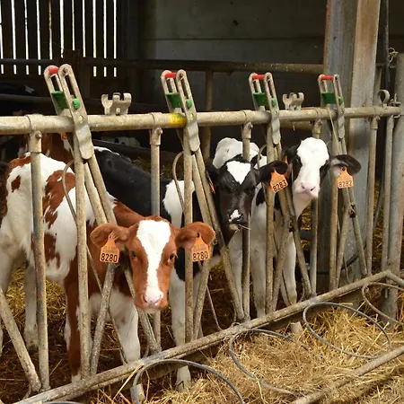 For 24 Guests * Teuven